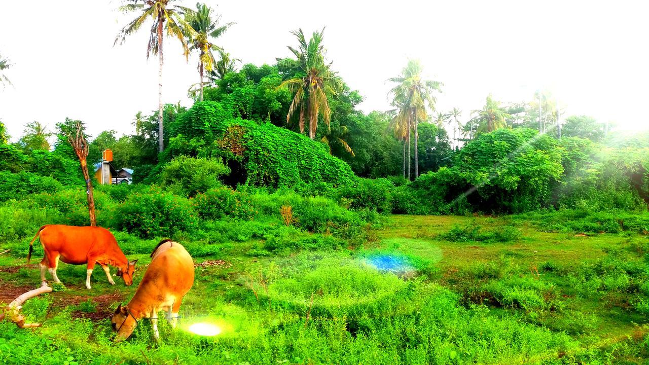 Ofal Lumbung กิลิไอร์ ภายนอก รูปภาพ